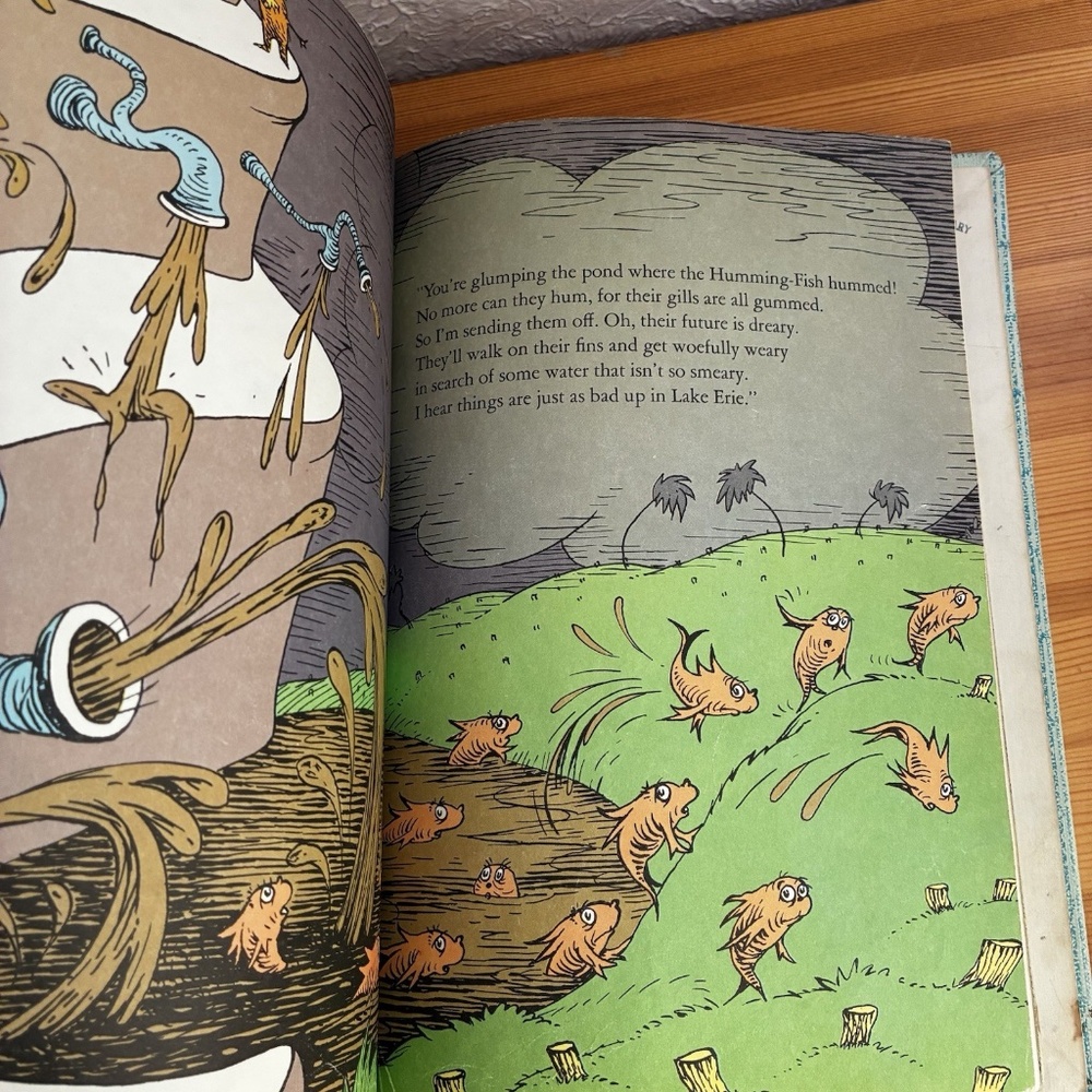 Dr. Seuss Collectible The Lorax 1971 First Library Edition Lake Erie - Picture 8 of 16
